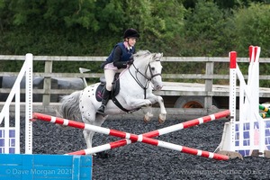 Class 2 -  Fences not above 2'